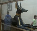 Anubis