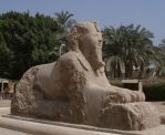 Alabastersphinx